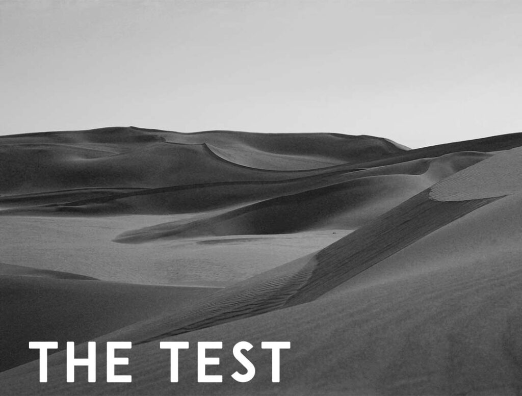 The Test – Temptation in the Wilderness