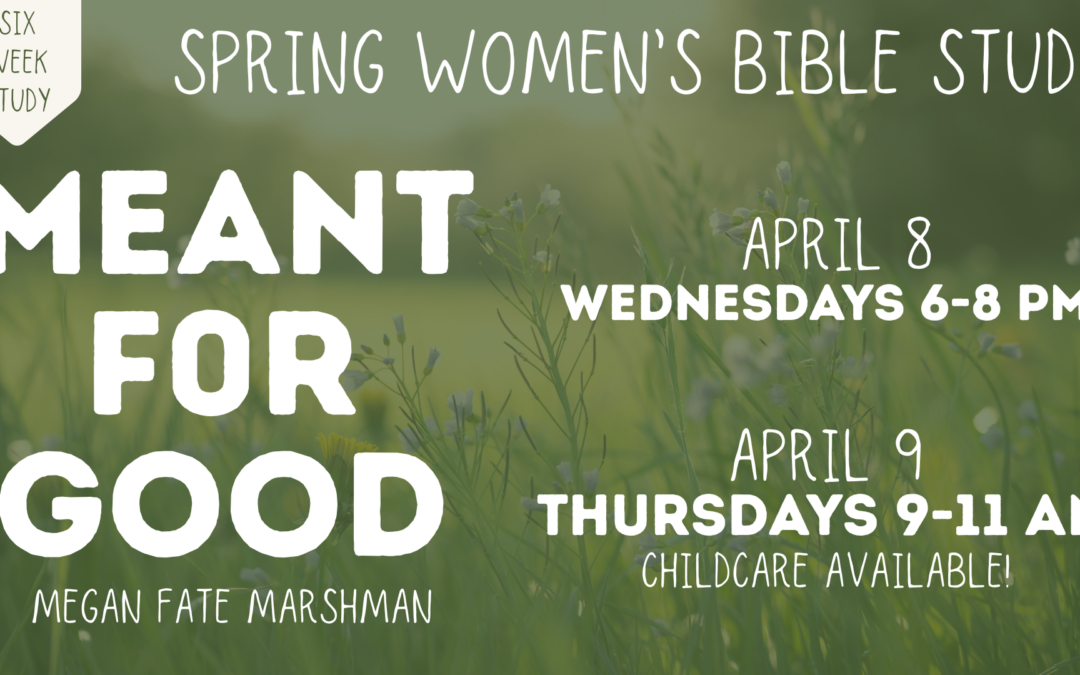Spring Women’s Bible Study